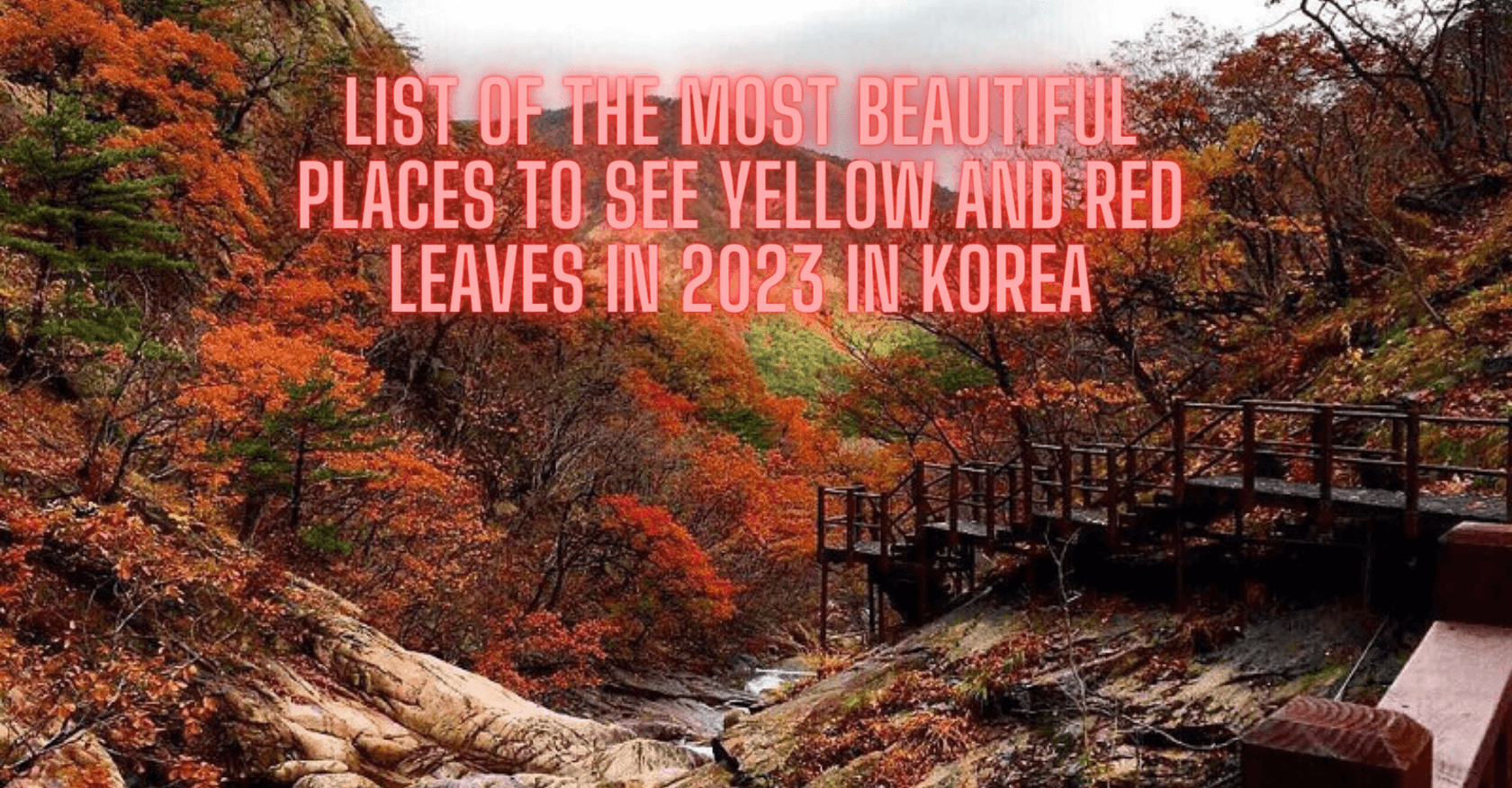 list of the most beautiful places to see yellow and red leaves in 2023 in Korea